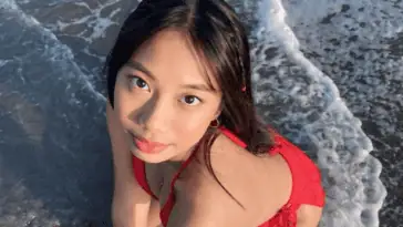 Vina 13